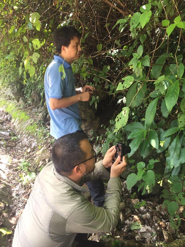 温放博士与越南自然博物官Do Van Truong博士进行野外考察.jpg